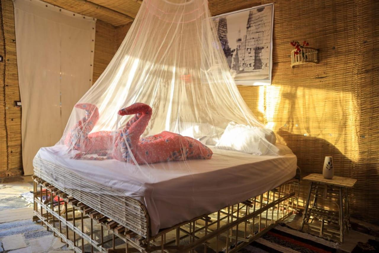 Luxury tent Bedouin Luxor