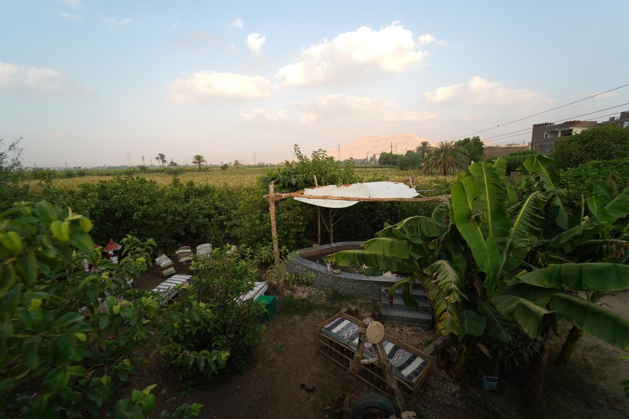 Bedouin * Luxor