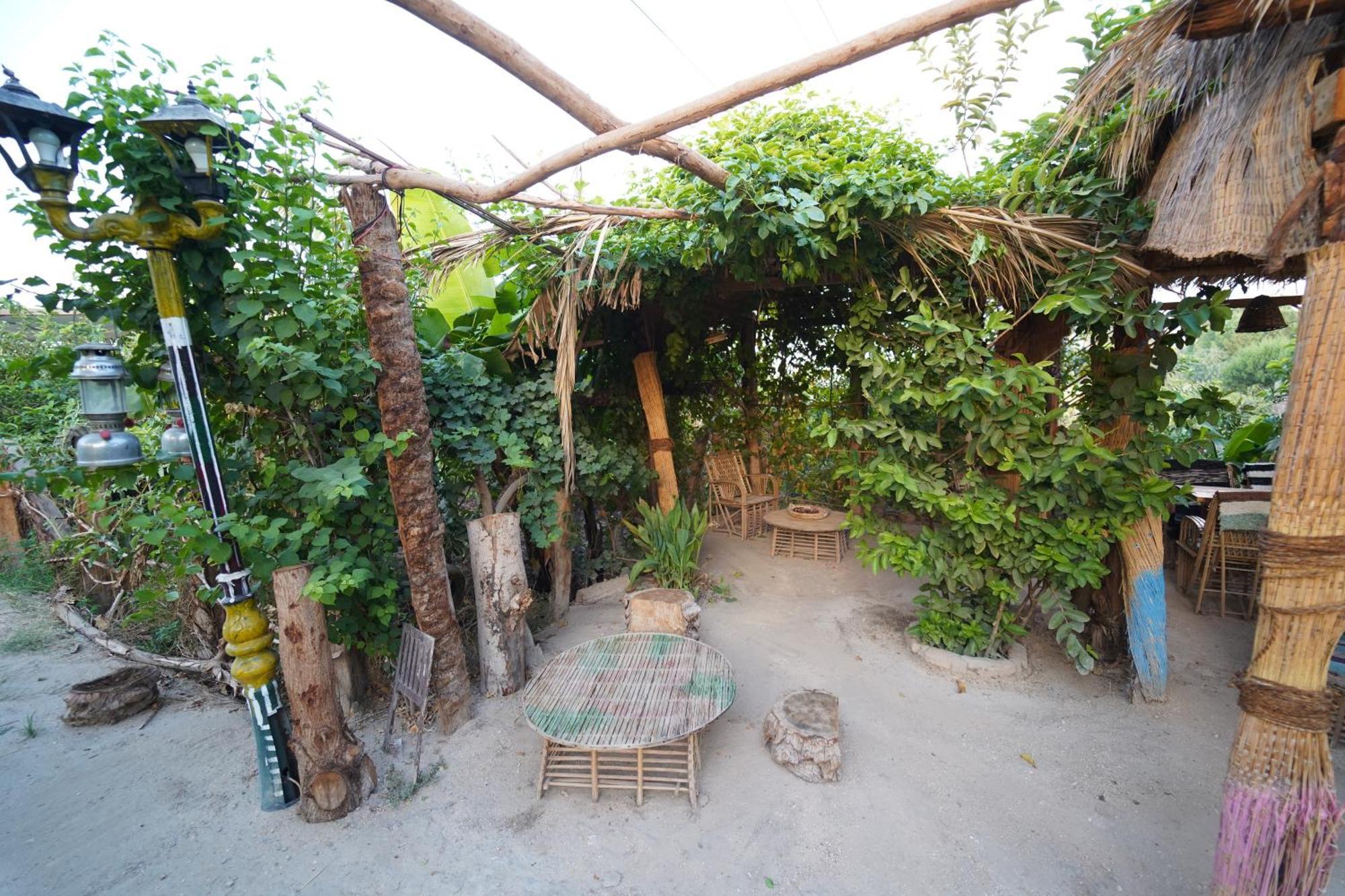 Bedouin Luxor