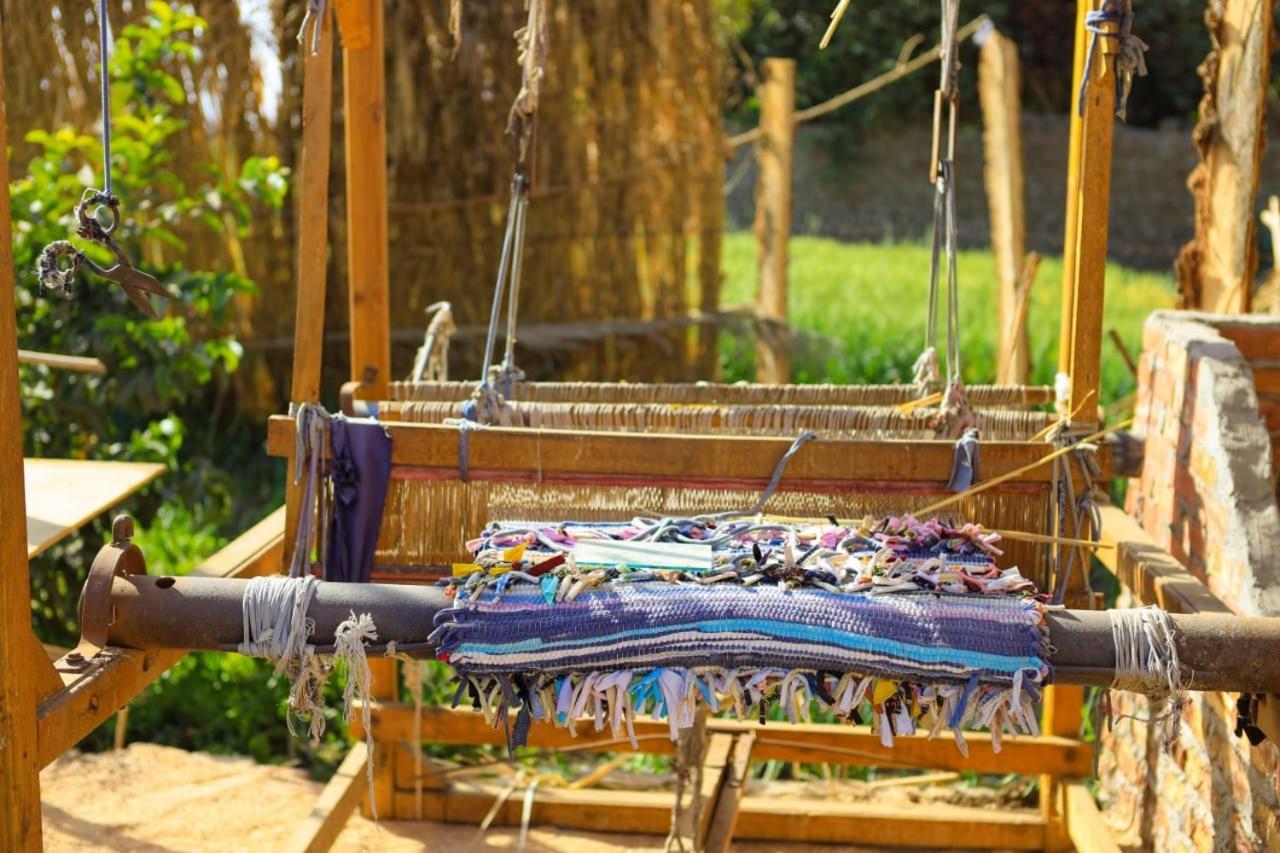Bedouin Luksor